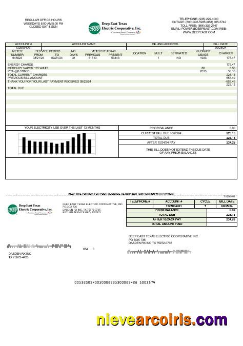 USA Deep East Texas Electric business utility bill